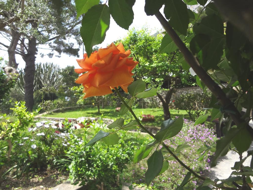 Casa Augusto B&B Capri Ngoại thất bức ảnh
